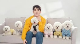 双11GMV超250亿？李佳琦否认：从未公布过