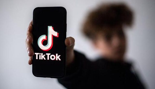 TikTok就禁令提交申诉：所有数据存于甲骨文公司美国境内服务器上