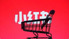 小红书关闭自营电商：集中资源服务买手商家
