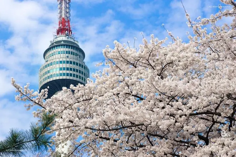 韩国最火？鸥维数据发布五一假期旅行热度榜
