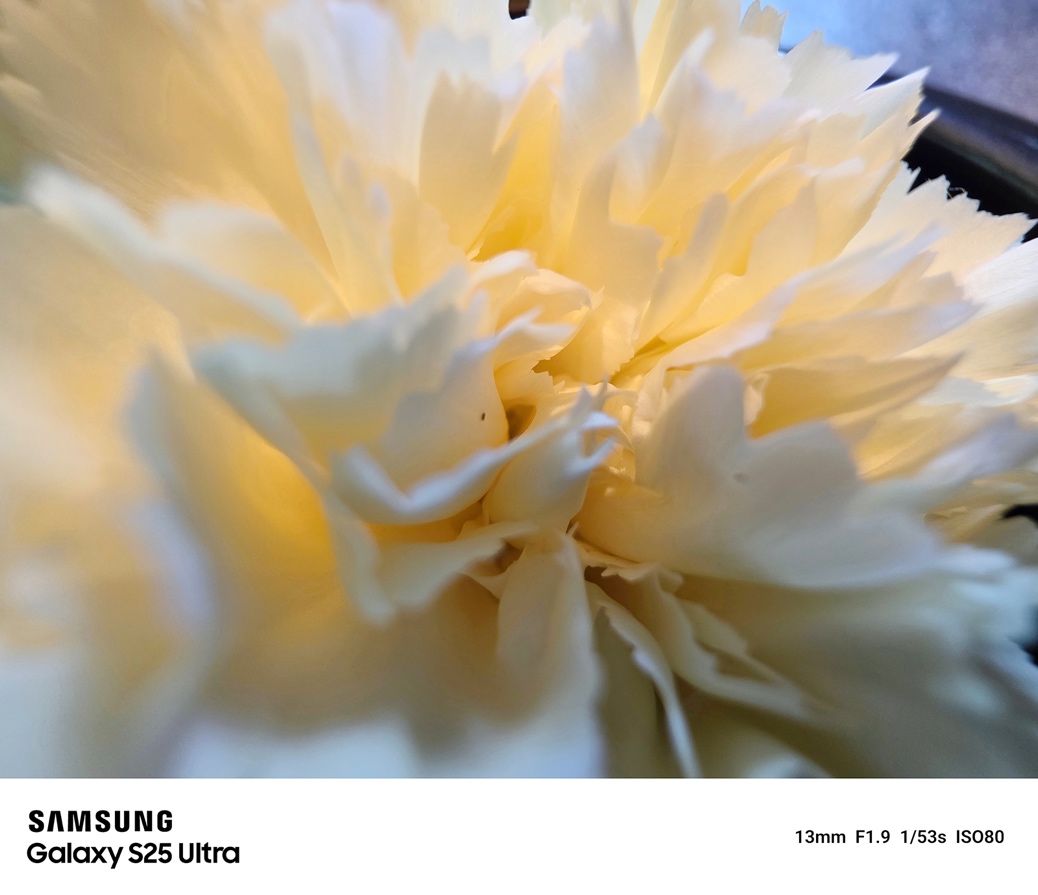 描光绘影 记录万千 三星Galaxy S25系列影像沙龙落地西安(图9)